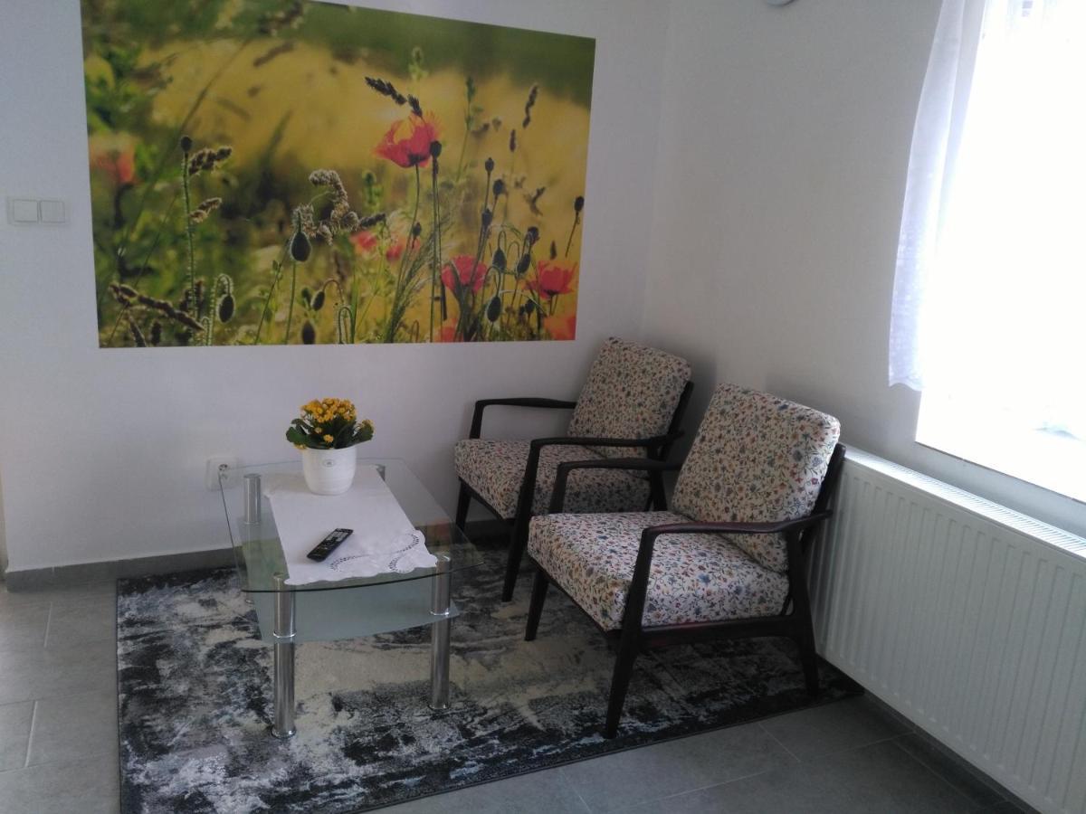 Apartman Gutino Ceska Trebova Eksteriør billede